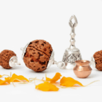 5 Mukhi Rudraksha - Image 2