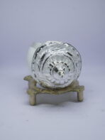 Shankh and Shankh kal (Big) - Image 5