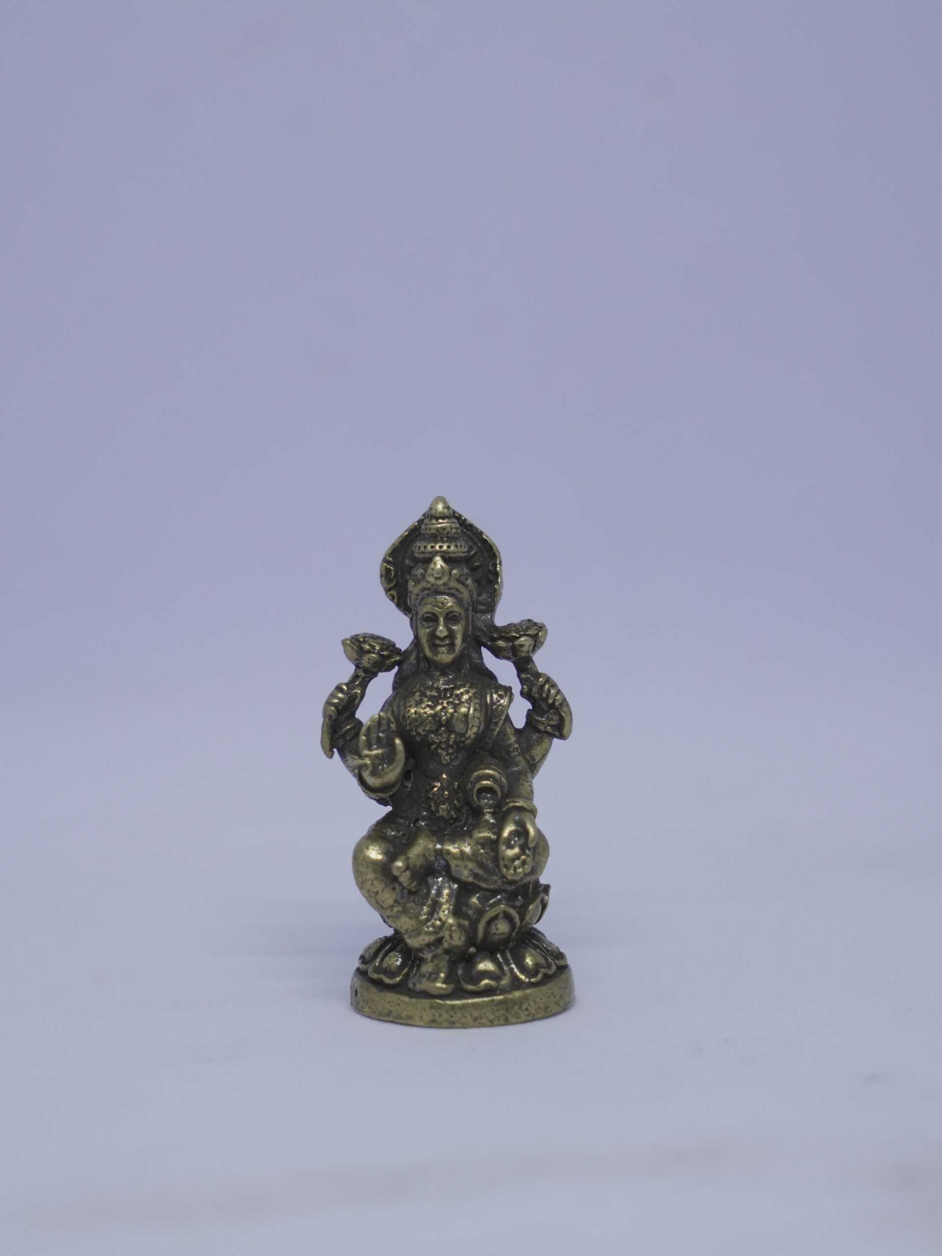 DSC01150 Mahalakshmi idol - Image 1