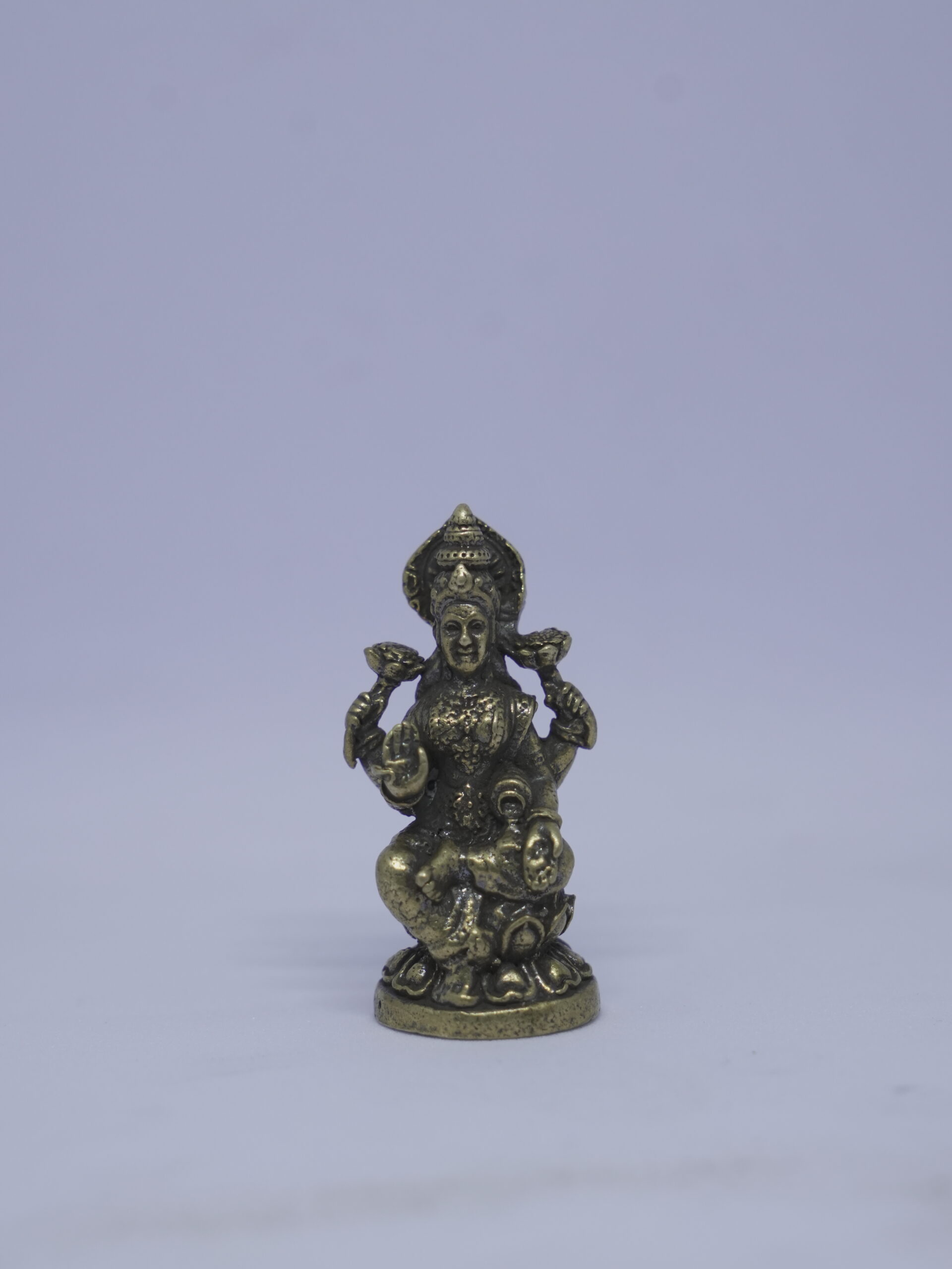 DSC01151 Mahalakshmi idol - Image 2