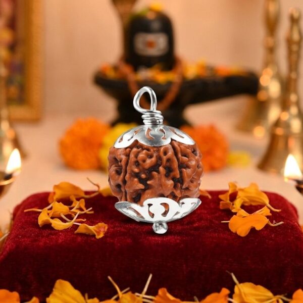 4 Mukhi Rudraksha