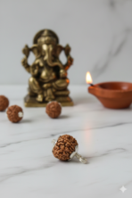 9 Mukhi Rudraksha