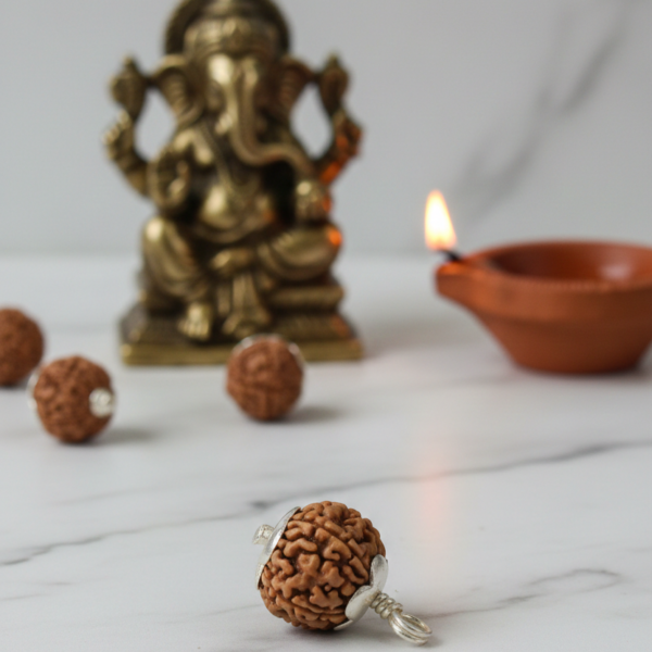 9 Mukhi Rudraksha
