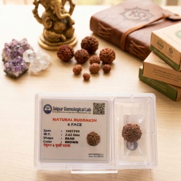 6 Face Natural Rudraksh box
