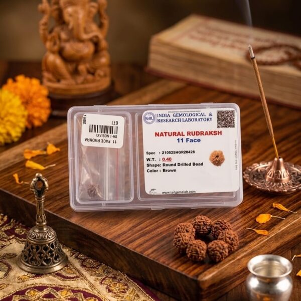 11 Face Natural Rudraksh box