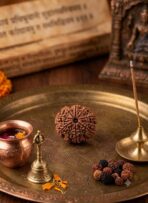 5 Face Natural Rudraksha box