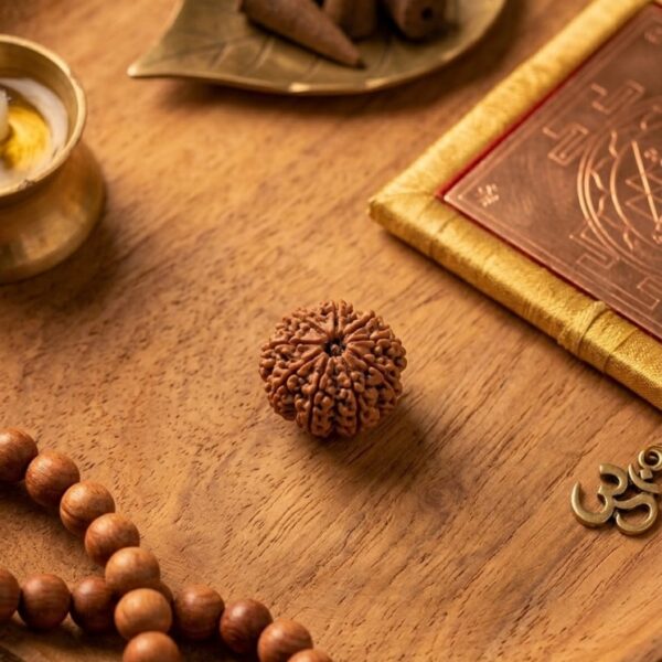 8 Face Natural Rudraksh box