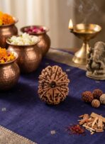 12 face Natural Rudraksh box